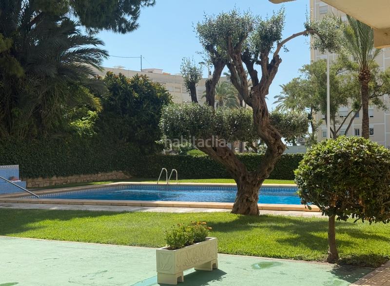 Foto cd641de3-f537-4d48-bd89-e7ab09bd1466. Apartamento en calle santander 6 ***apartamento en segunda línea Playa Poniente*** en Benidorm