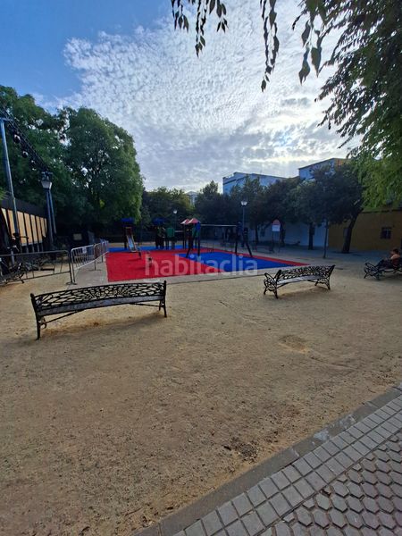 Foto 7020832f-d5ac-456f-8bc7-fbc2e023d2c1. Pis a El Cerro Sevilla