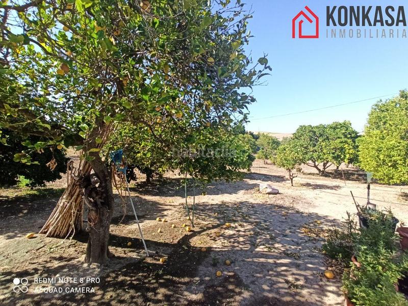 Foto 1d70d00e-3dcf-40d3-ad3f-9e3adb4a26c7. Xalet amb aparcament a Arcos de la Frontera