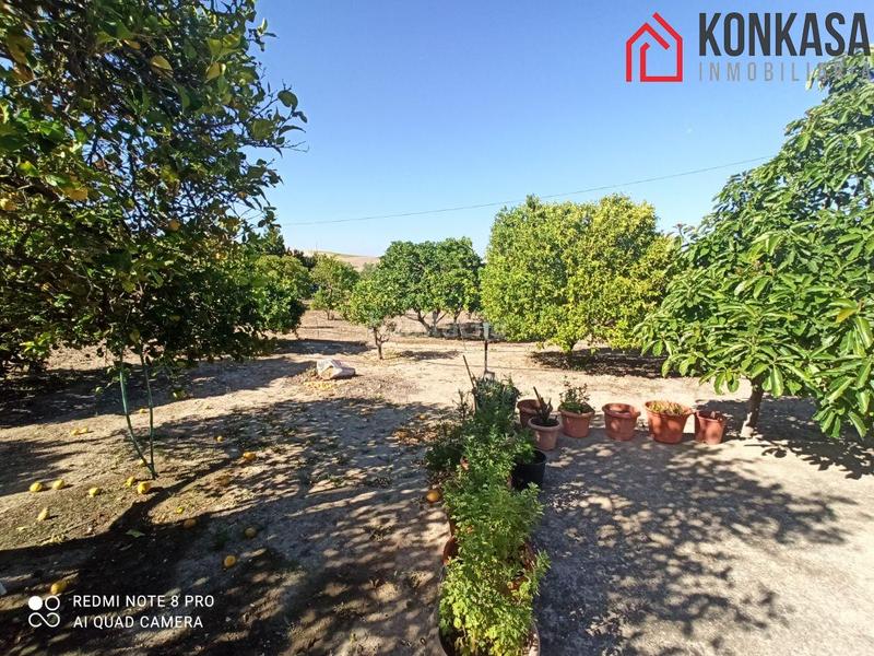 Foto 53b08408-2711-4c2a-a13a-1661d5850304. Xalet amb aparcament a Arcos de la Frontera