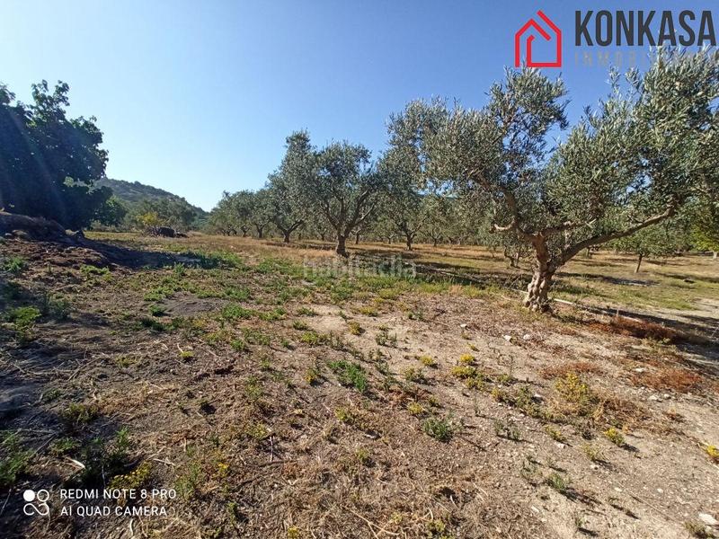 Foto 556b26e5-083b-466a-bad2-c0adb7946b5a. Xalet amb aparcament a Arcos de la Frontera