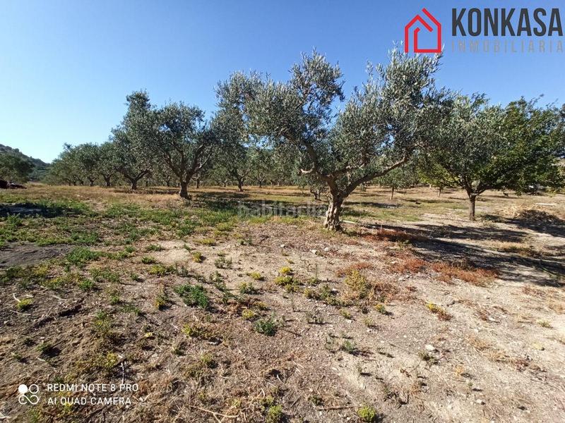 Foto fb296146-25fc-4b5e-9190-ee76c32851a3. Xalet amb aparcament a Arcos de la Frontera