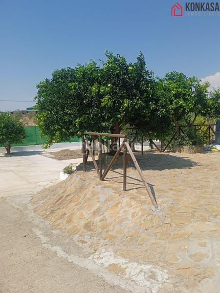 Foto 26e02277-715c-4d2a-b617-f080f6030bfc. House in Arcos de la Frontera