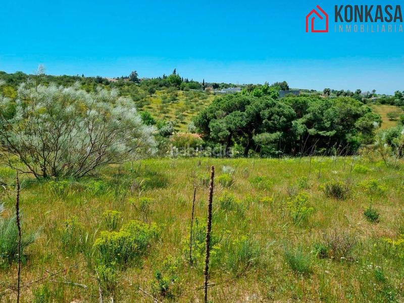 Foto 15bc4ae2-9e6e-4156-af21-3f27ba30f131. Residential plot in Arcos de la Frontera