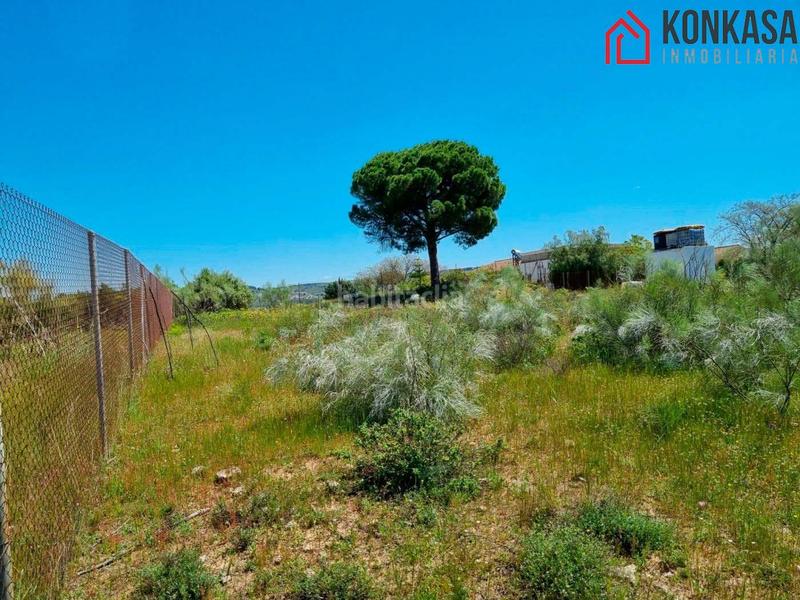 Foto 5a2c0c9f-d455-4359-933f-96e232eff6dc. Residential plot in Arcos de la Frontera