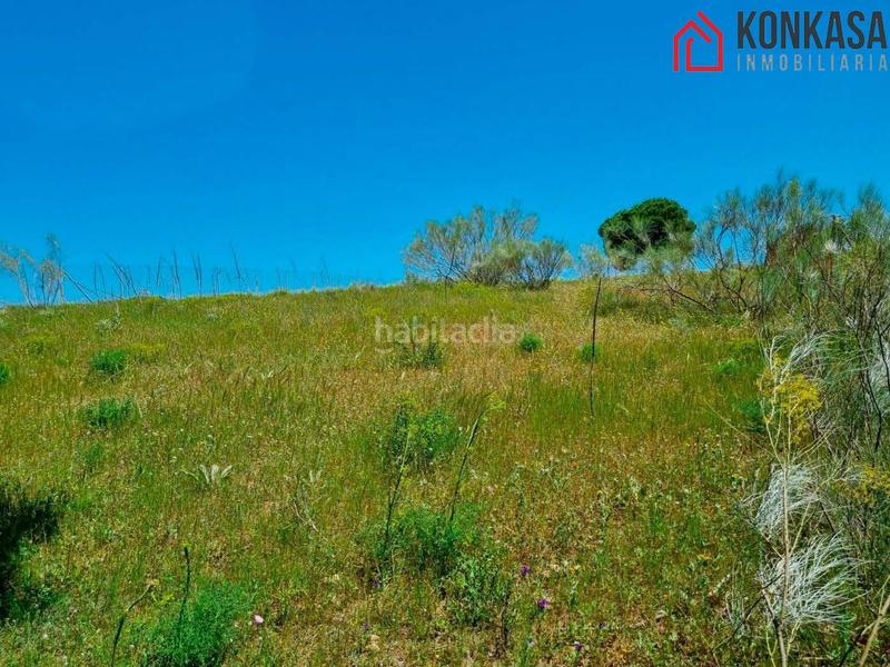 Foto c1d6b4d1-9fa6-438d-8cdc-73860266185c. Residential plot in Arcos de la Frontera