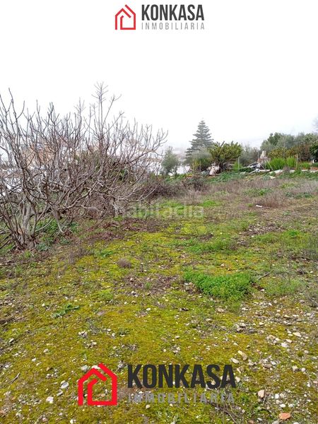 Foto c5717e1e-1509-4c73-99cf-95b64392cdcc. Local comercial a Arcos de la Frontera