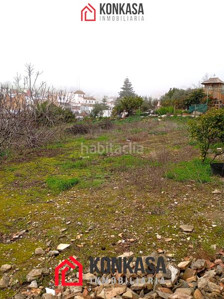 Foto eb9527da-1a3f-4775-8c42-8da183099cdd. Local comercial a Arcos de la Frontera
