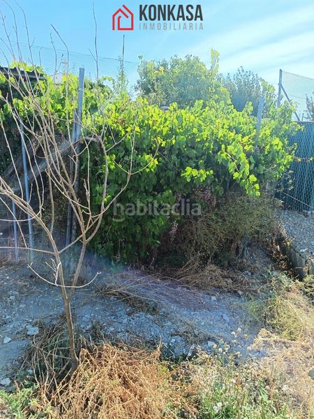 Foto d4e74d7d-05ff-4bb6-a083-f4867ca539cd. Casa esperacasa en Arcos de la Frontera