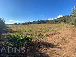 Rural plot in Torre roja 1. Terreno agrario en muy buena zona de caldes de montbui