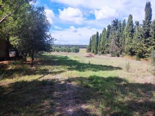 Terreny residencial a Vilacolum. Terreno agrario de 20.144 m con caseta de 147 m legalizada.