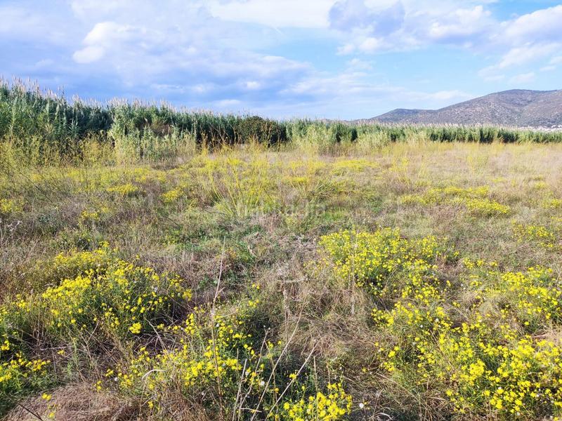 Foto 5c784d19-6e20-43e9-bb63-917ccc3e29af. Terreny residencial a de Vilamacolum a Vilamacolum