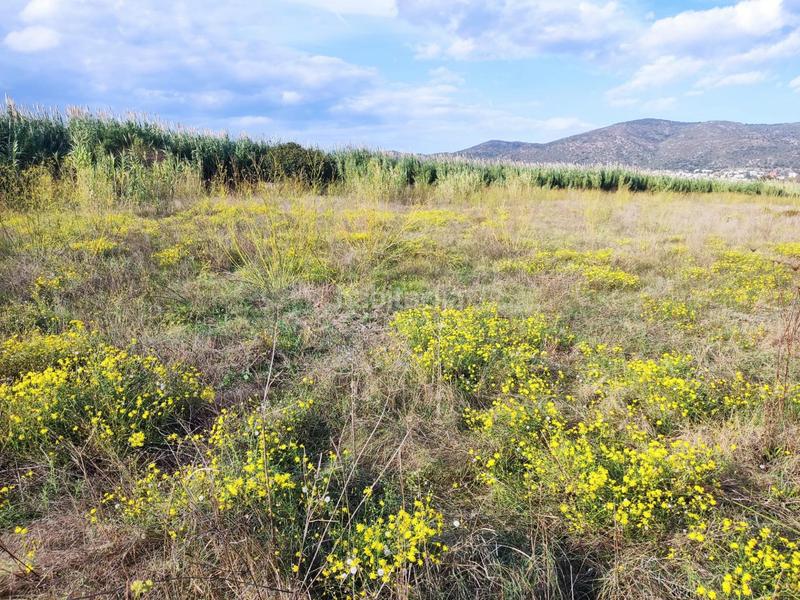 Foto 77639697-5e20-4a98-a4e4-27363897f486. Terreny residencial a de Vilamacolum a Vilamacolum