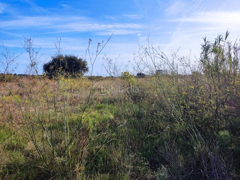 Foto 99663f23-c17c-4fa9-9d63-757638b205e7. Terreny residencial a de Vilamacolum a Vilamacolum