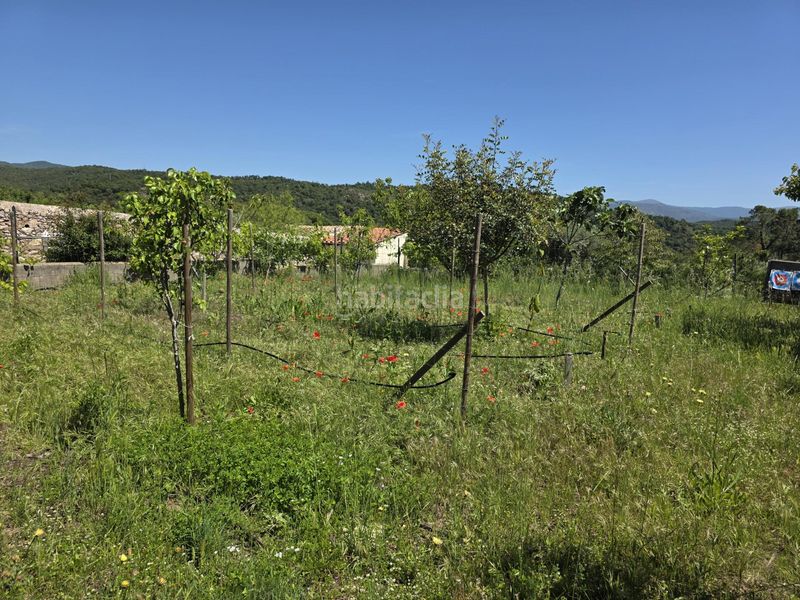 Foto 5b82f7c5-ddbd-4bbe-af74-dc6a1efacd1e. Masia a major 29 a Darnius