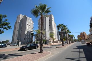 Piccolo appartamento  Avenida del puerto