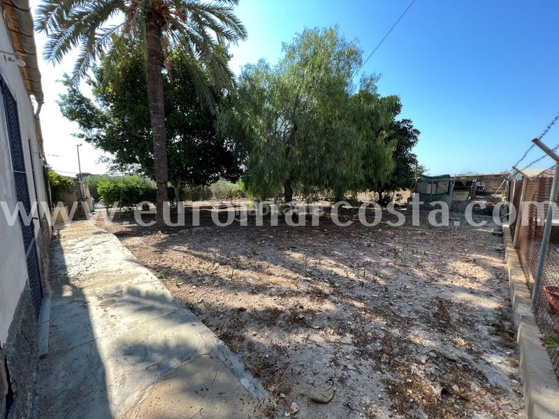 Foto 28990d98-0f62-41c6-b990-fede6d348502. Masia amb aparcament a La Marina Elche / Elx
