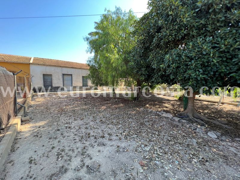 Foto 39a6b55f-1a06-412a-b944-835b9bf323b8. Masia amb aparcament a La Marina Elche / Elx