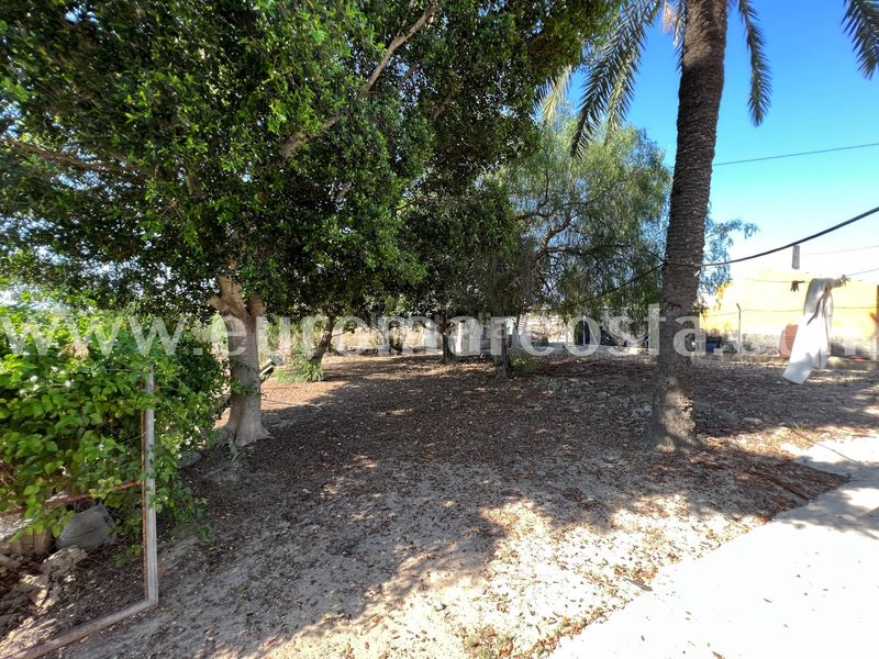 Foto 6c490a3e-8ff6-497e-987c-7d56092f7fbe. Masia amb aparcament a La Marina Elche / Elx