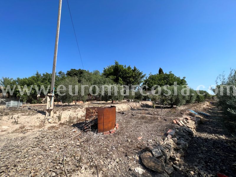 Foto 6fb3e84b-d2e4-407a-a2fa-f63dce48f75e. Masia amb aparcament a La Marina Elche / Elx
