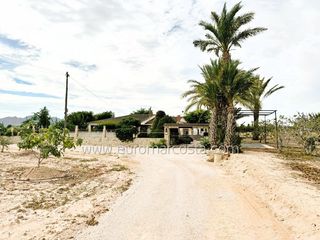 Masia a partida del moco