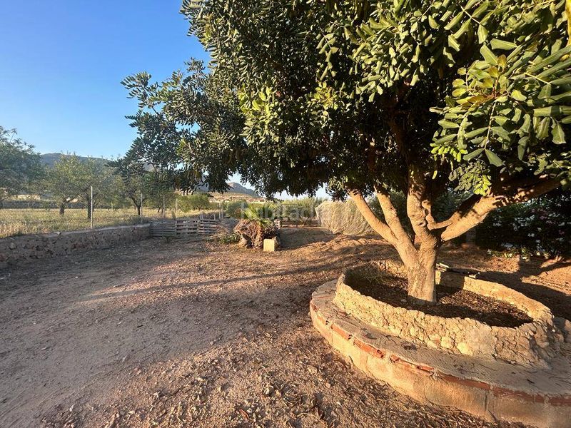 Foto c4cad539-11f8-4a3e-b896-ec509e9eff46. Masía casa de campo en venta en hondon de las nieves, 4 dormitorios. en Hondón de las Nieves