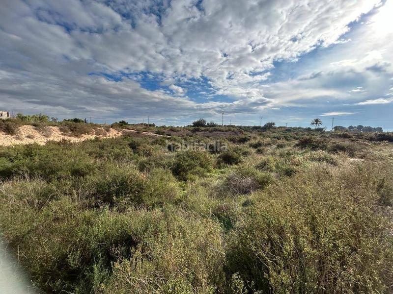 Foto 5ef633fc-c82d-45c1-b33e-ca3f5b2abba3. Terrain résidentiel dans Crevillente