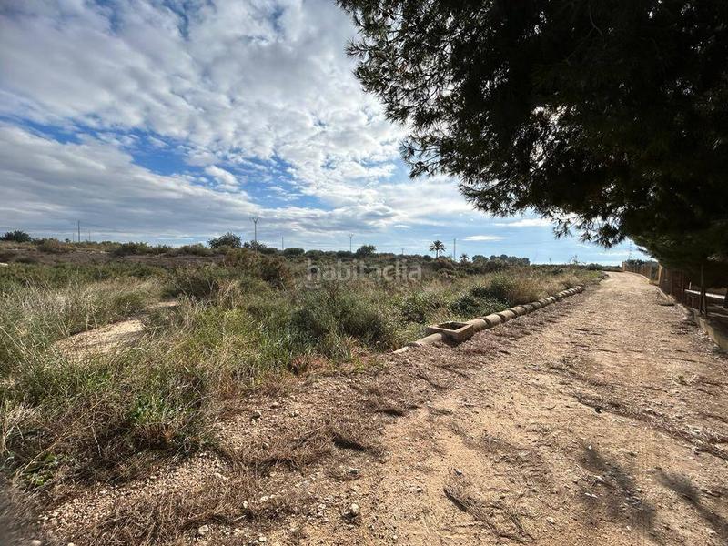 Foto 95c9464c-d597-4ab4-9536-47b5225a3833. Terrain résidentiel dans Crevillente