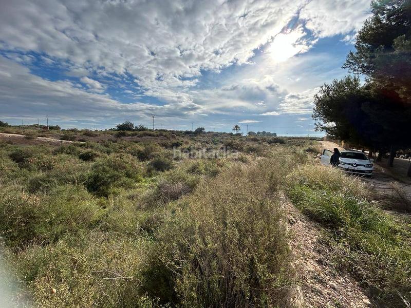 Foto b4374454-c13b-4f25-8499-bf49e8a05d43. Terrain résidentiel dans Crevillente