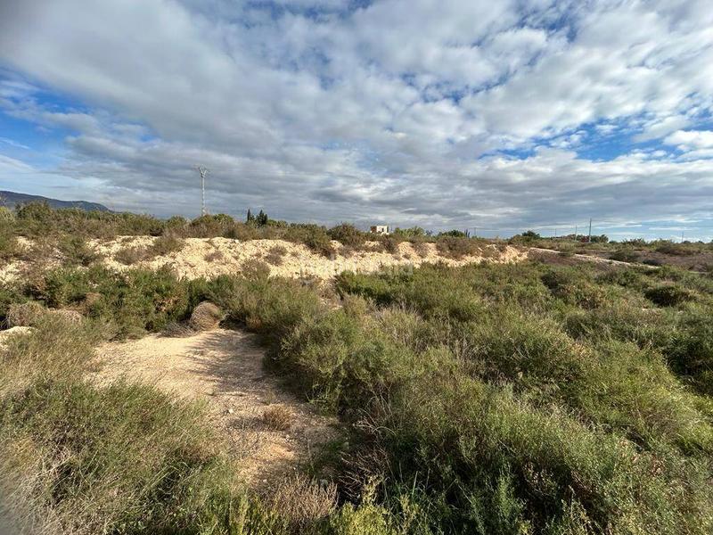 Foto d92b5bfc-4046-4795-bbb9-8f290d544c3b. Terrain résidentiel dans Crevillente