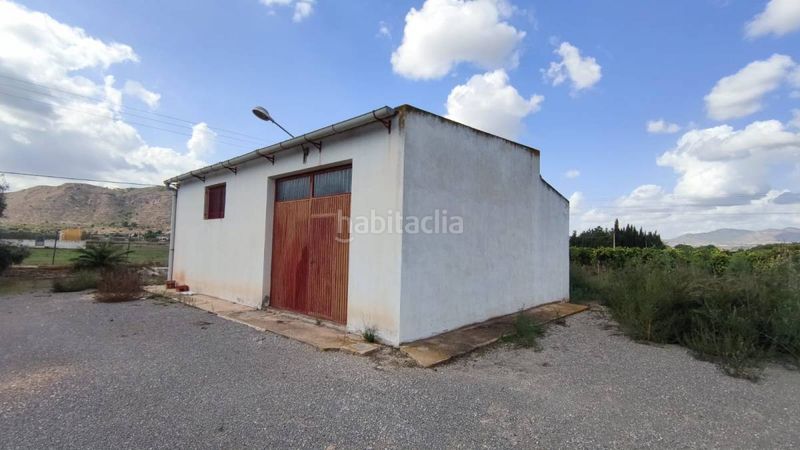 Foto 94ae0cab-f294-45fe-b3e5-530ddb59ec09. Masia a Pedanías Oeste Aspe