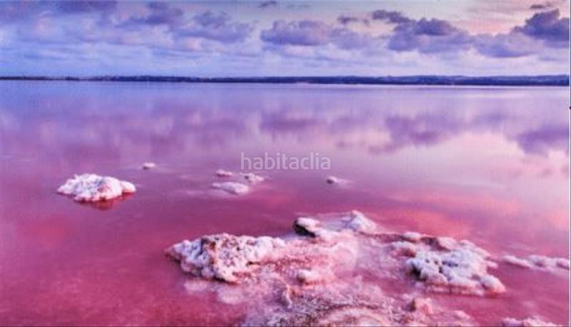 Foto b21a9328-d941-47b4-9945-ea9808684343. Appartement avec chauffage parking piscine dans La Florida Orihuela