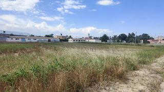 Terreny residencial a Crevillente. Solar en venta en realengo.