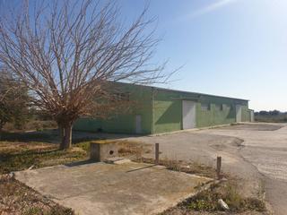 Nau industrial a Crevillente. Nave ind. en venta en partida derramador, 2 dormitorios.