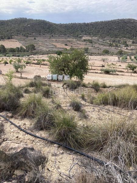 Foto 006336c3-74df-4b14-8c5b-e2bb9355c526. Casa con riscaldamento parcheggio in Abanilla