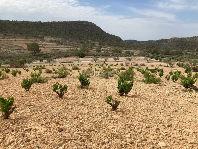 Foto ae26bdea-1296-4068-9758-f6b3fa8619a2. Casa con riscaldamento parcheggio in Abanilla