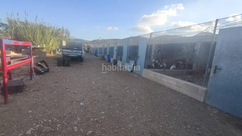 Foto 7fd893b0-078f-47c2-a459-457289c45902. Bauernhof in Centro Aspe