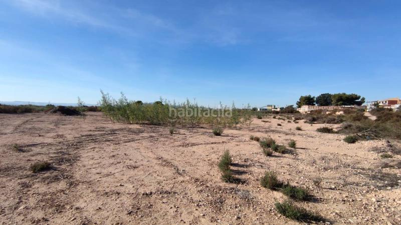 Foto 2e5479b2-9720-4438-b45a-0f915ca4c709. Terreno residencial finca rúst. en venta en crevillent. en Crevillente