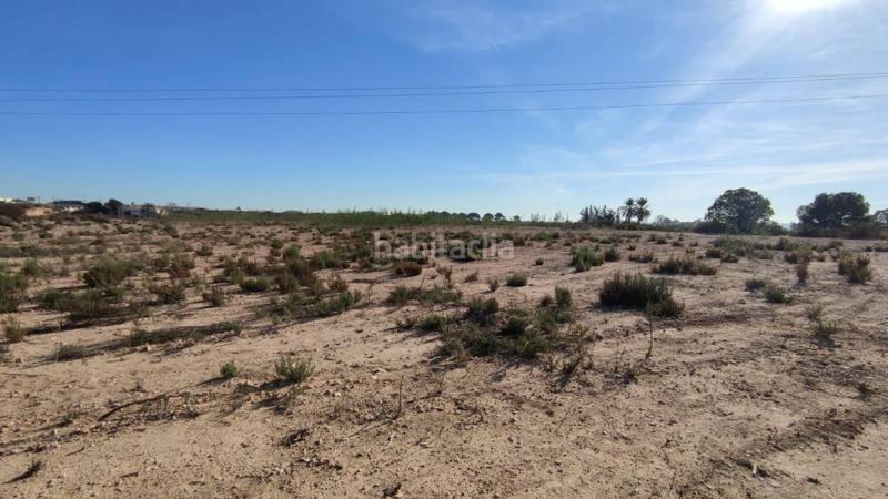 Foto 45a80897-9f7d-4c7c-bd34-db9e799c900e. Terreno residencial finca rúst. en venta en crevillent. en Crevillente