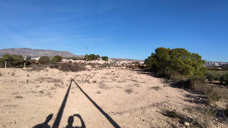 Foto 4a7ba792-1030-4e1b-9ff5-1c2d0b6d3c6c. Terreno residencial finca rúst. en venta en crevillent. en Crevillente