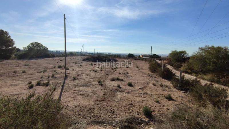 Foto 8ef28ff8-4823-475a-8056-3484060fd74c. Terreno residencial finca rúst. en venta en crevillent. en Crevillente