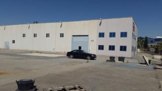 Nau industrial a Pedanías Este. Nave ind. en venta en aspe, 2 dormitorios.