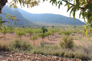 Wohngrundstück in Hondón de los Frailes. Finca rúst. en venta en centro.