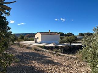 Masia a Jumilla. Casa de campo en venta en norte.
