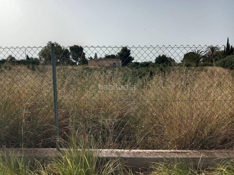 Foto f9360684-23b8-4683-b60a-676a95975815. Masía finca rúst. en venta en campillos. en Crevillente