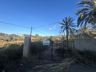 Mas à Crevillente. Finca rúst. en venta en san antonio de la florida.