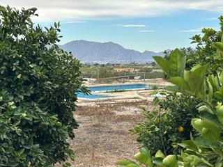 Masia a Albatera. Finca rúst. en venta en el moco.