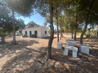 Mas à Albatera. Casa de campo en venta en el moco, 1 dormitorio.