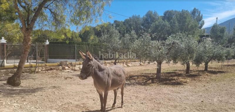 Foto 05458eeb-61e7-4145-a319-c62f6031bcf4. Mas avec chauffage piscine dans Hondón de las Nieves