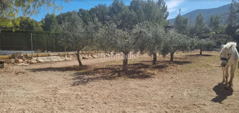 Foto 332d4a0b-849f-4e07-bb8f-47643b3fce17. Mas avec chauffage piscine dans Hondón de las Nieves